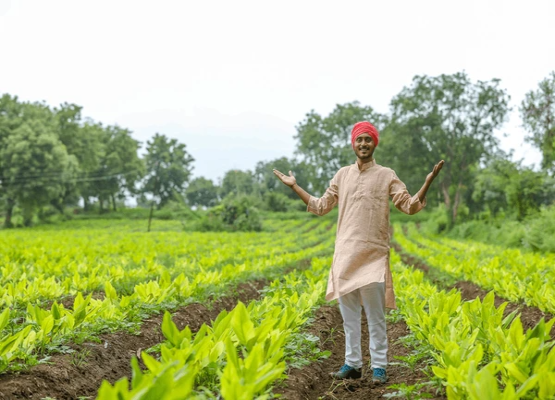 Farmers First: Rural Empowerment & Organic Farming